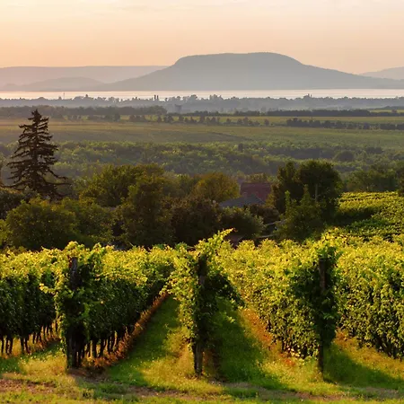 דירה In - Balaton 19048 בלטונללה