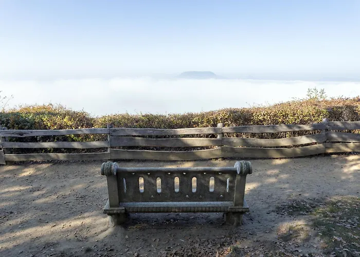 In - Balaton 19048 *