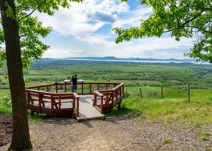 In - Balaton 19048 דירה בלטונללה