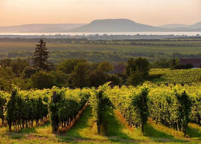 דירה In - Balaton 19048 בלטונללה